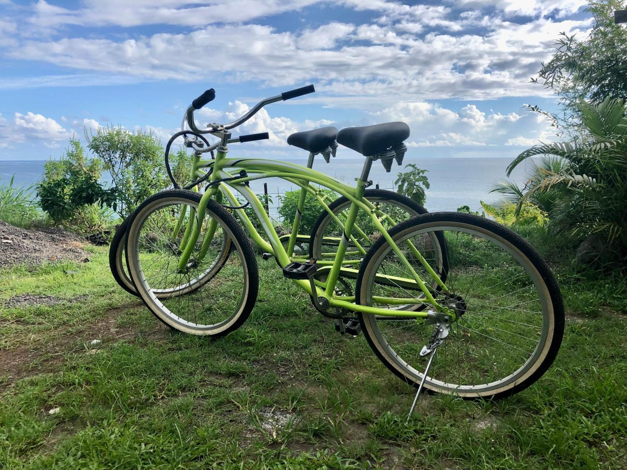 Maui Homestay Vue Ocean Exceptionnelle & Baleines En Saison Tohautu Екстериор снимка