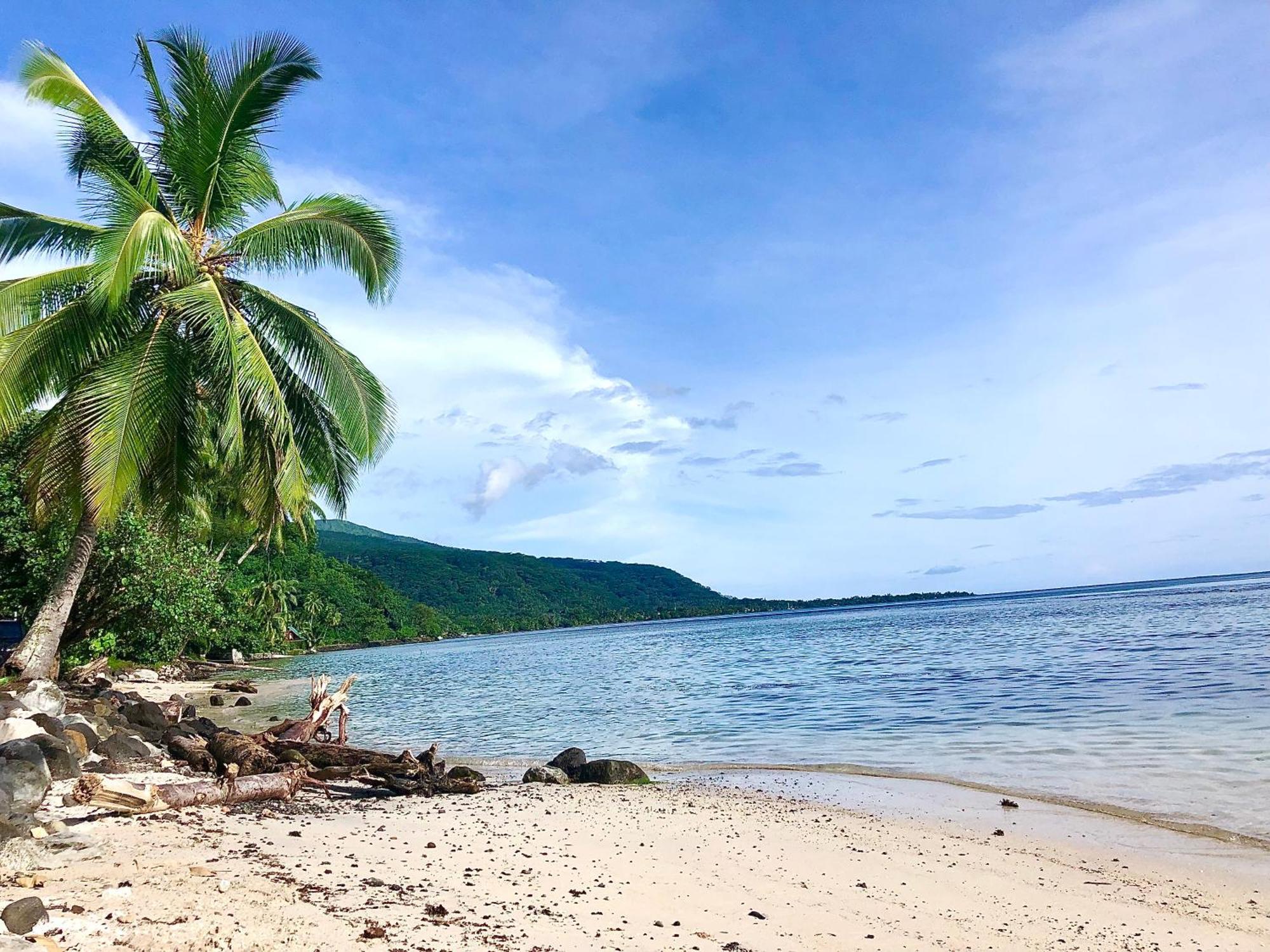 Maui Homestay Vue Ocean Exceptionnelle & Baleines En Saison Tohautu Екстериор снимка