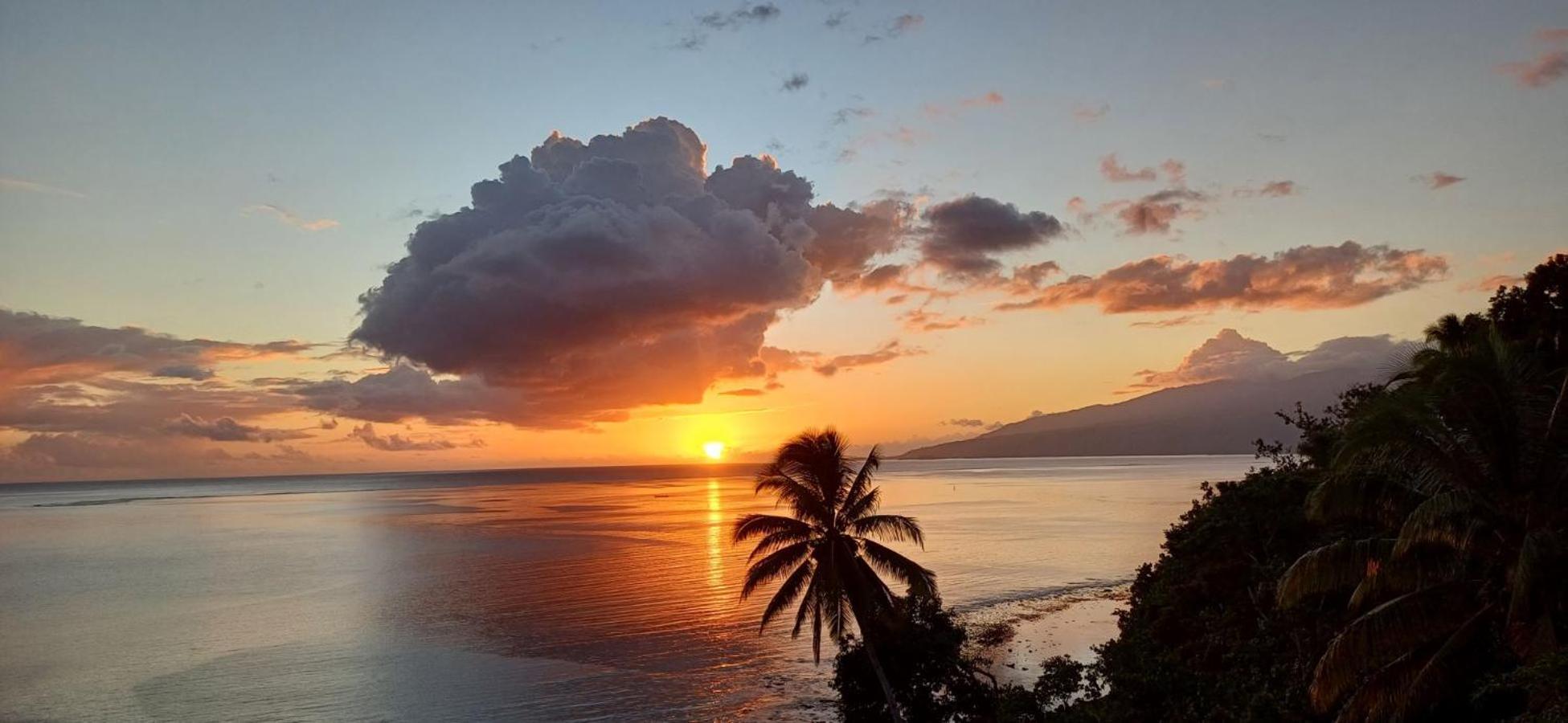 Maui Homestay Vue Ocean Exceptionnelle & Baleines En Saison Tohautu Екстериор снимка